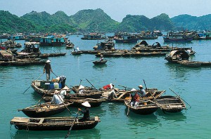 halong-overview_2352009_14543.jpg
